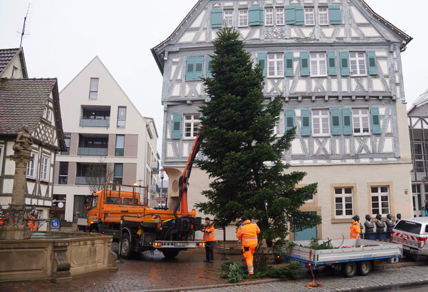 Für den Weihnachtsbummel am Adventssonntag wurde diese Woche alles vorbereitet.