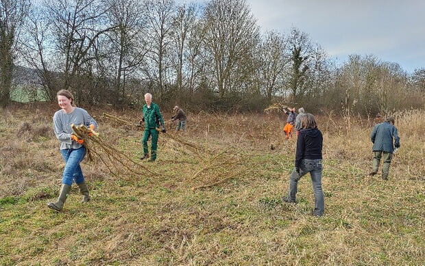 Viele Gehölze wurden aus dem Schilf entfernt.
