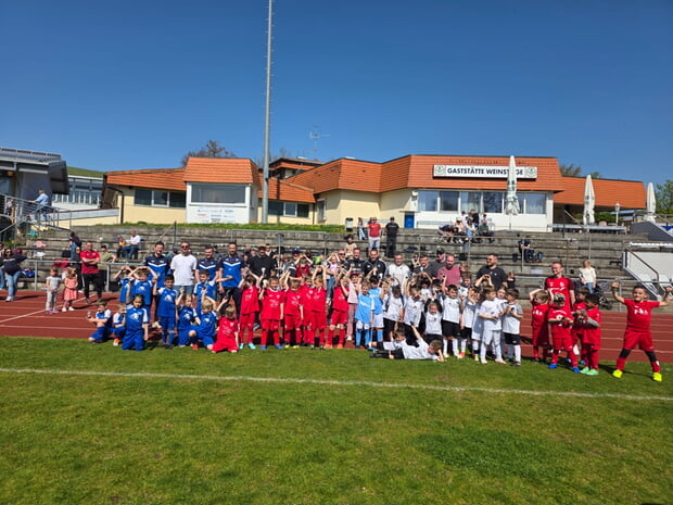 Bambini Leistungsvergleich