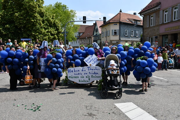 Trauben-liebende Fußgruppe aus dem Vorjahr.