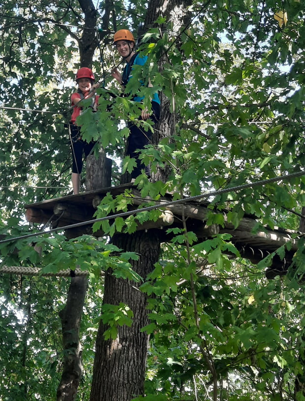 Hoch hinaus in den Baumwipfeln....