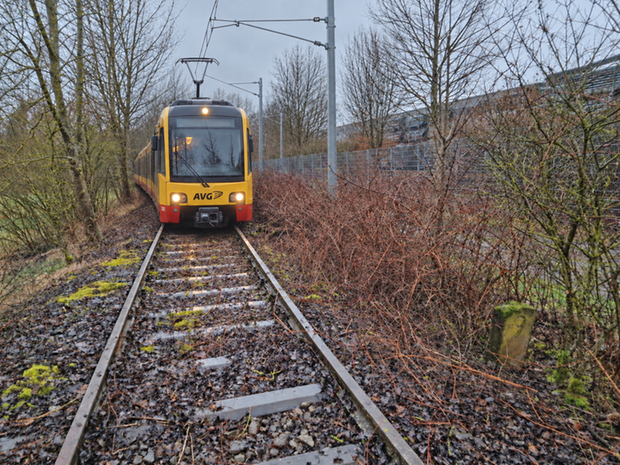Sch&ouml;n wird es werden