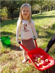 Flei&szlig;ige Erntehelferin