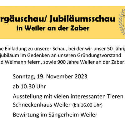 Jubiläums-Vereinsschau 50 Jahre Z523 Weiler/ Zabergäuschau