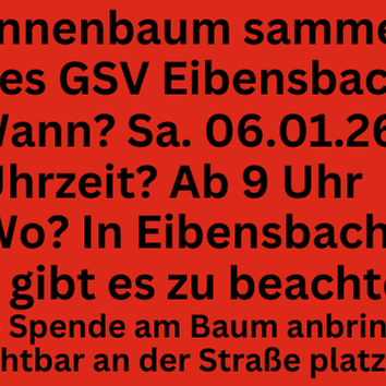 Tannebaum sammeln in Eibensbach