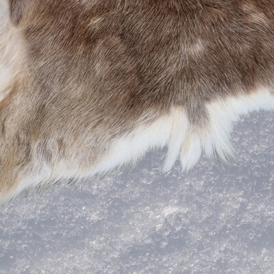 Winter is coming &ndash; Die geschichtlichen Bez&uuml;ge von &bdquo;Game of Thrones&ldquo;